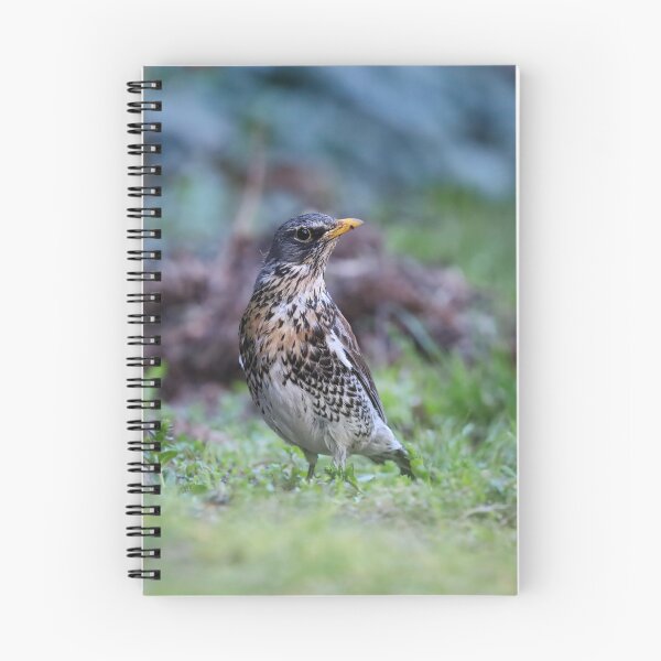 Item preview, Portrait of a fieldfare bird in a spring meadow. designed and sold by NaturePhotography.
