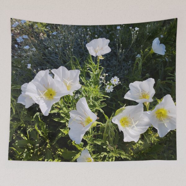 Item preview, Oenothera Tetraptera – White Evening Primrose Close-Up designed and sold by inspiration3.