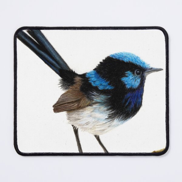 Item preview, Superb Blue Wren - coloured pencil designed and sold by AussiAllison.