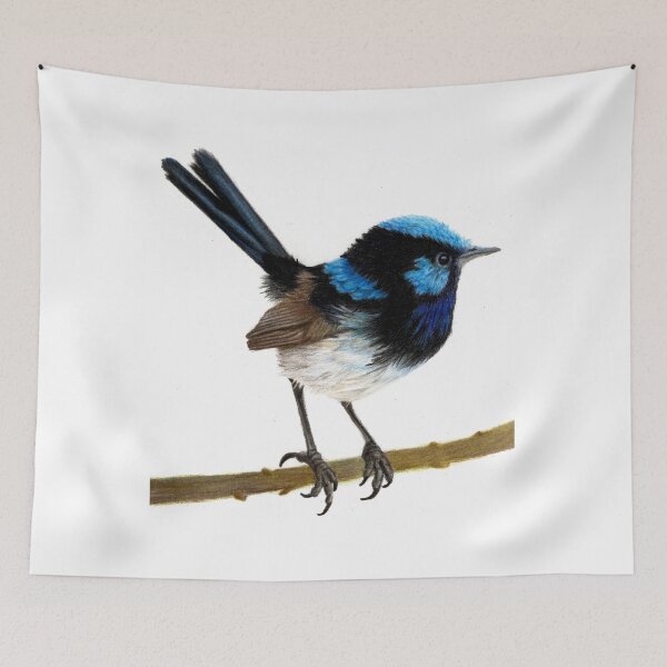 Item preview, Superb Blue Wren - coloured pencil designed and sold by AussiAllison.
