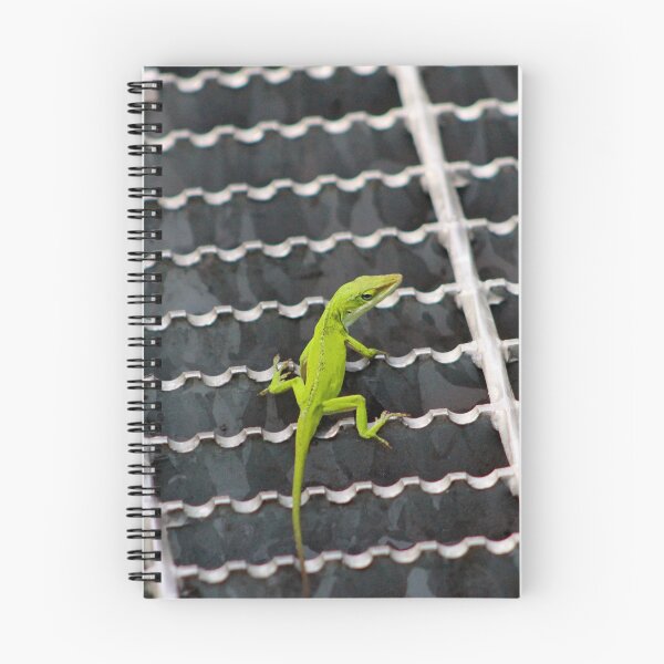 Aperçu de l'œuvre Lézard vert sur une grille métallique créée et vendue par Cynthia48.
