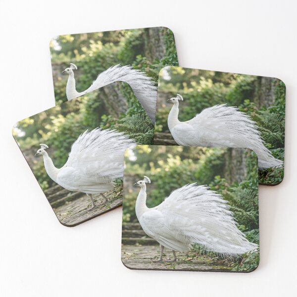 Item preview, White peacock slightly spreading its tail designed and sold by Malisa345.