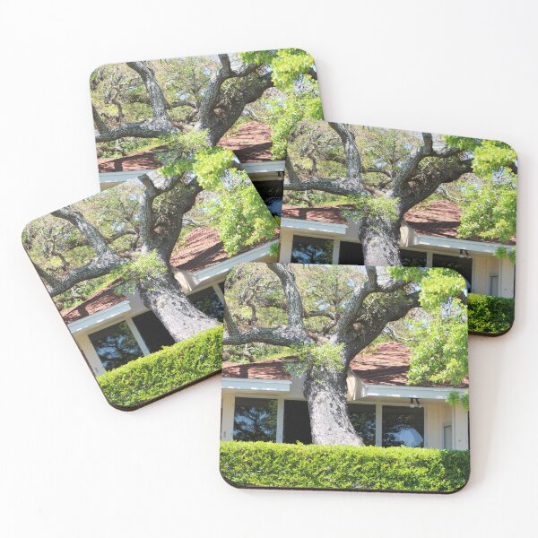 Item preview, Tree Says I Was Here First designed and sold by Cynthia48.