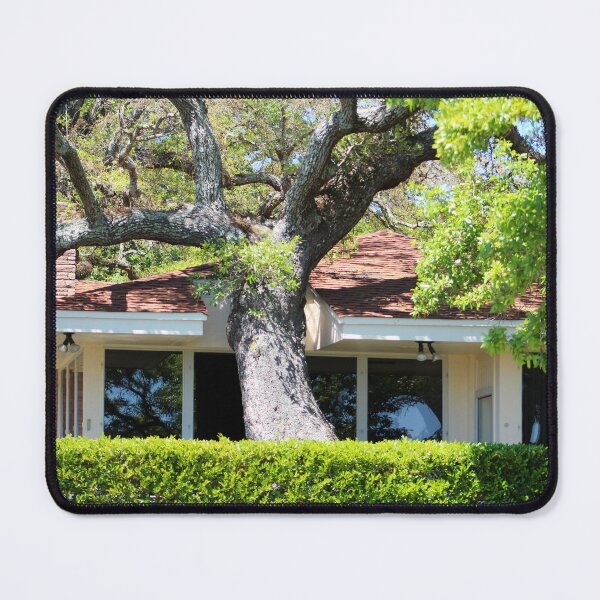 Item preview, Tree Says I Was Here First designed and sold by Cynthia48.