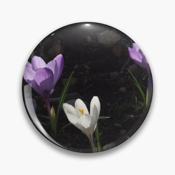 Item preview, Crocuses designed and sold by Carina Jern.