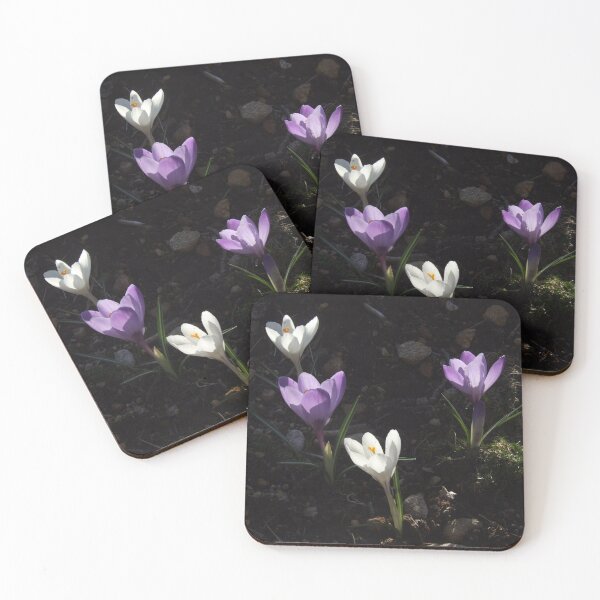 Item preview, Crocuses designed and sold by Carina Jern.