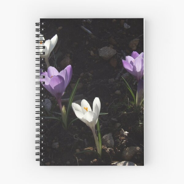 Item preview, Crocuses designed and sold by Carina Jern.