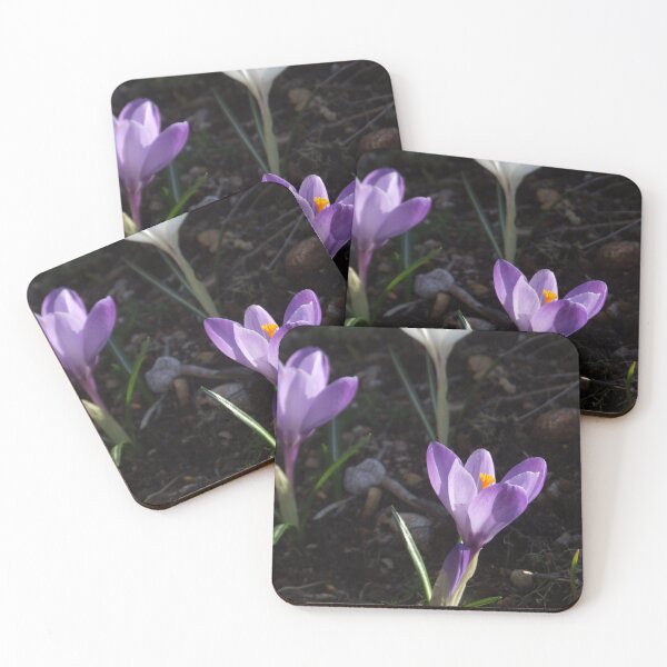 Item preview, Crocuses designed and sold by Carina Jern.
