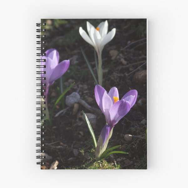 Item preview, Crocuses designed and sold by Carina Jern.