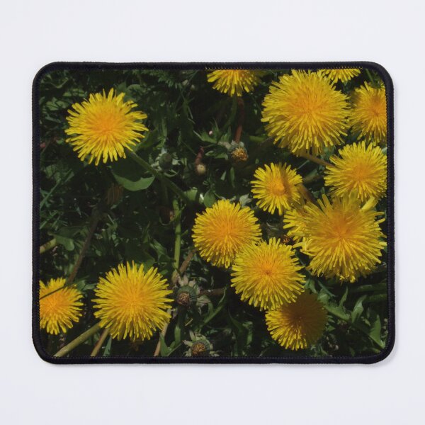 Item preview, Dandelions designed and sold by Carina Jern.