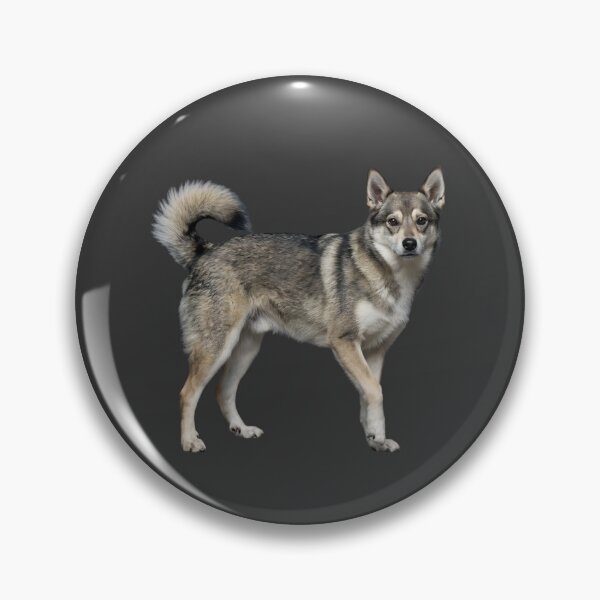 Item preview, Adaptive Veil Portrait Norwegian Lundehund Dog Minimal Realistic Rare Breed Design designed and sold by ArtivaNest.