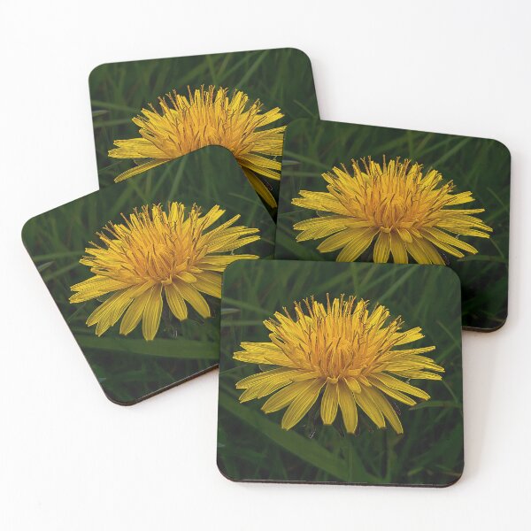 Item preview, Golden Dandelion in Full Bloom designed and sold by Sir Martin.
