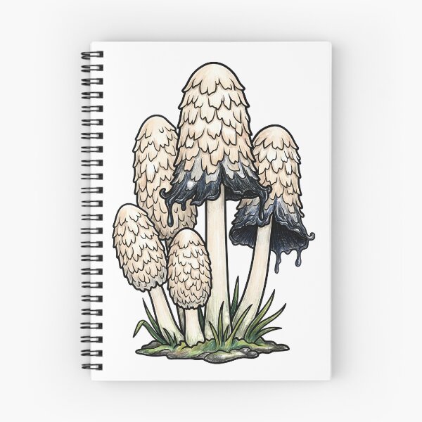 Item preview, Shaggy Ink Cap Mushroom Card, Coprinus Comatus Illustration, Unique Fungi Botanical Art designed and sold by BlankInsideCard.
