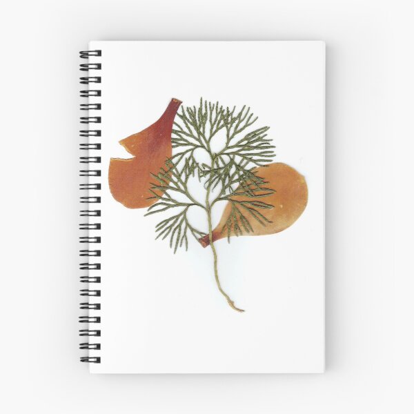 Item preview, Magnolia Petals and Running Cedar designed and sold by Silent-Serenade.