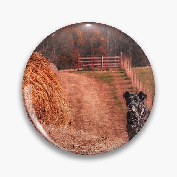Item preview, Devoted Farm Girl designed and sold by Jim Love.