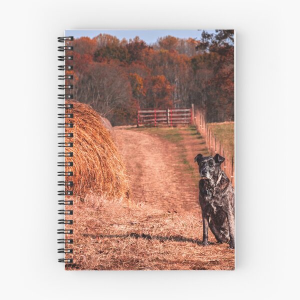 Item preview, Devoted Farm Girl designed and sold by Jim Love.