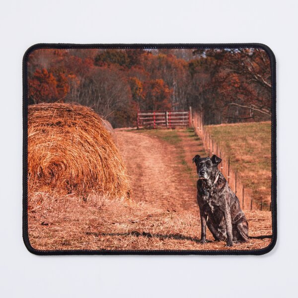 Item preview, Devoted Farm Girl designed and sold by Jim Love.
