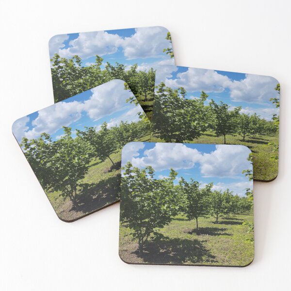 Item preview, Hazelnut orchard in spring, Dobrudzha, Bulgaria designed and sold by inspiration3.
