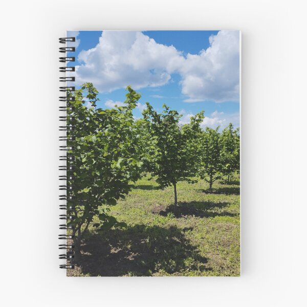 Item preview, Hazelnut orchard in spring, Dobrudzha, Bulgaria designed and sold by inspiration3.