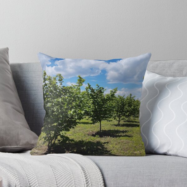 Item preview, Hazelnut orchard in spring, Dobrudzha, Bulgaria designed and sold by inspiration3.