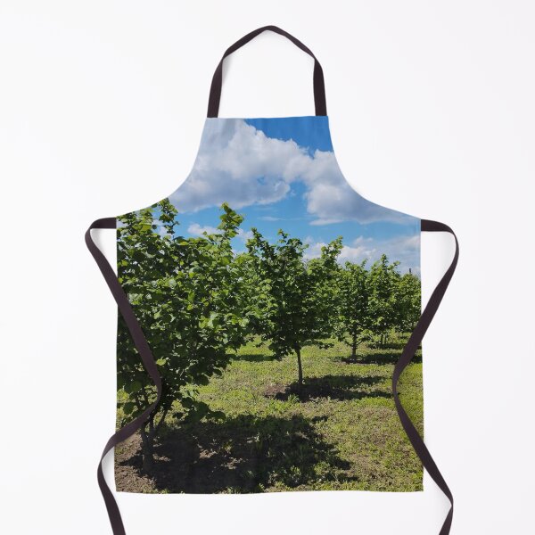 Item preview, Hazelnut orchard in spring, Dobrudzha, Bulgaria designed and sold by inspiration3.