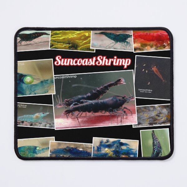 Item preview, Neocaridina designed and sold by SuncoastShrimp.