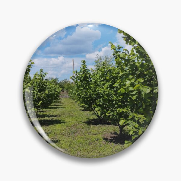 Item preview, Hazelnut orchard in spring, Dobrudzha, Bulgaria designed and sold by inspiration3.