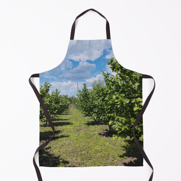 Item preview, Hazelnut orchard in spring, Dobrudzha, Bulgaria designed and sold by inspiration3.