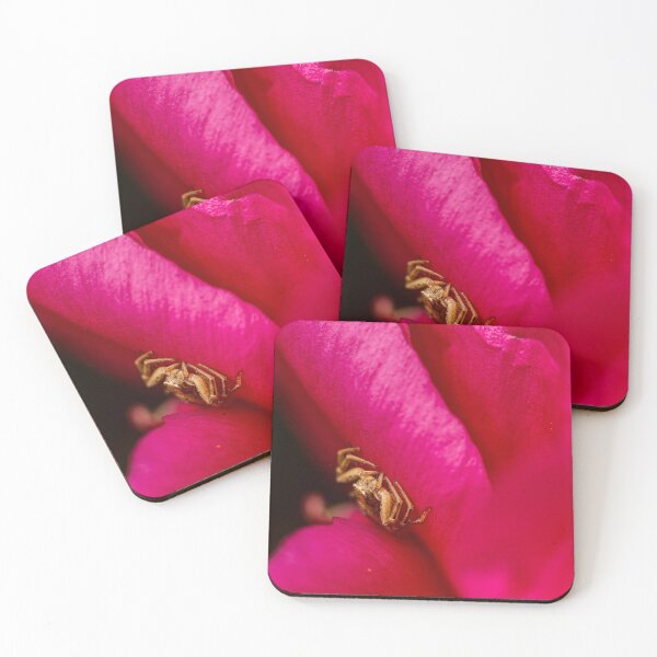Item preview, Hidden in Pink — Crab Spider on a Flower Petal designed and sold by Rabee Khalil Photography.