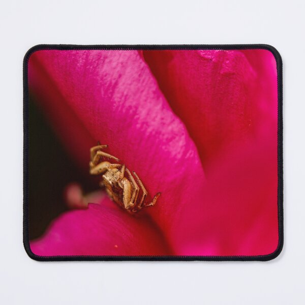 Item preview, Hidden in Pink — Crab Spider on a Flower Petal designed and sold by Rabee Khalil Photography.