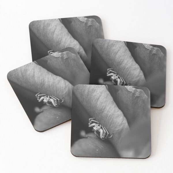 Item preview, The Ambush — Crab Spider in Black and White designed and sold by Rabee Khalil Photography.