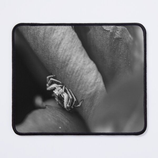 Item preview, The Ambush — Crab Spider in Black and White designed and sold by Rabee Khalil Photography.