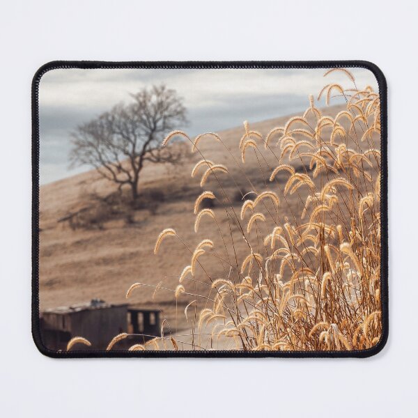 Item preview, Late Fall Early Winter designed and sold by Jim Love.