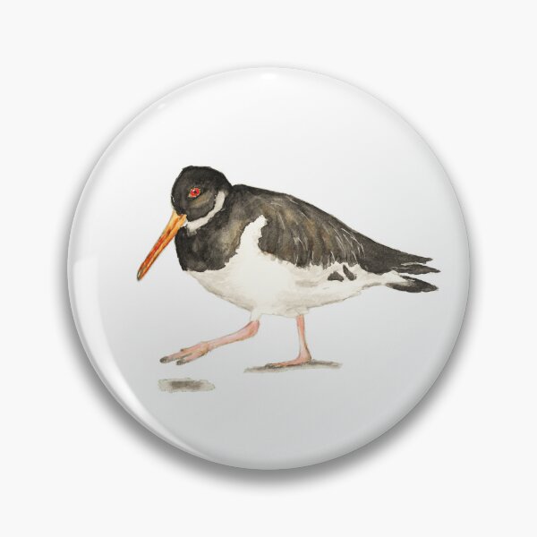 Item preview, Oystercatcher (watercolour) designed and sold by Sarah Addy.