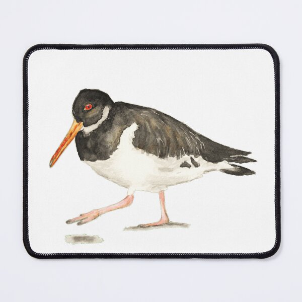 Item preview, Oystercatcher (watercolour) designed and sold by Sarah Addy.