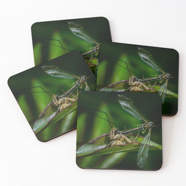Item preview, No Escape — Spider Captures a Crane Fly designed and sold by Rabee Khalil Photography.