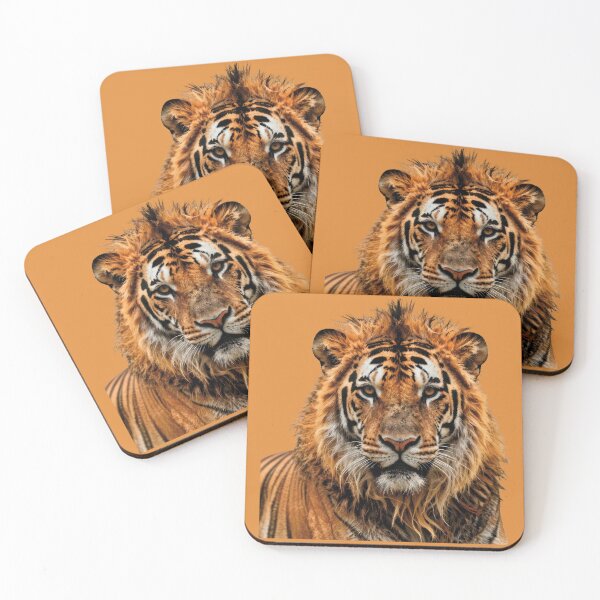 Item preview, Hybrid portrait of a Tiger/Lion with a powerful yet peaceful gaze (Digital Watercolor Illustration) designed and sold by Alan-David.