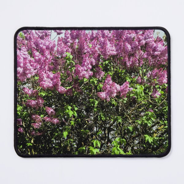 Item preview, Pink lilac designed and sold by ART22.