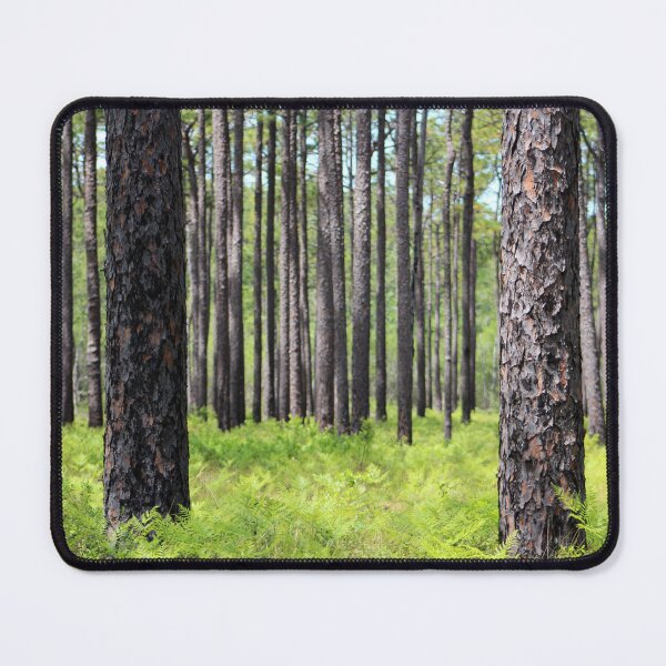 Item preview, Green Swamp Pine Forest designed and sold by Cynthia48.