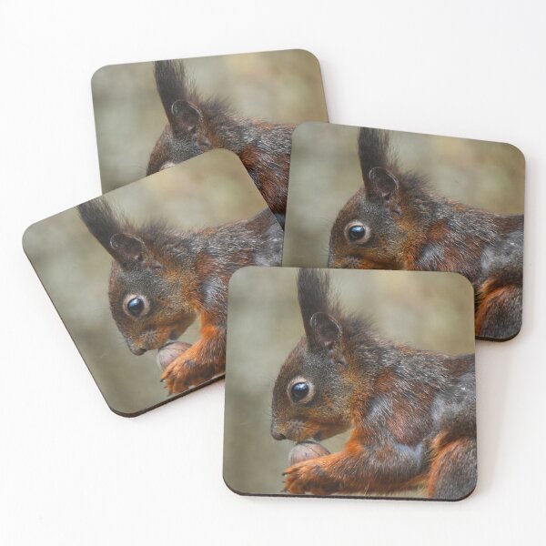 Item preview, Red Squirrel Extreme Close-Up Portrait Holding Food designed and sold by Shanguai.