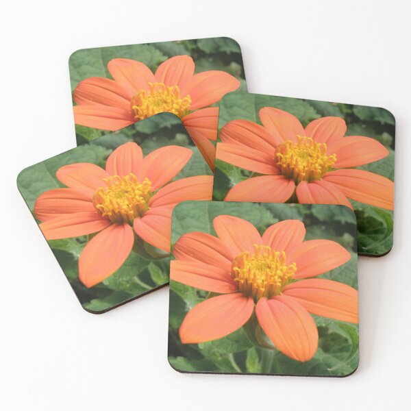 Item preview, Tithonia Mexican Sunflower Photograph designed and sold by naturegallery.