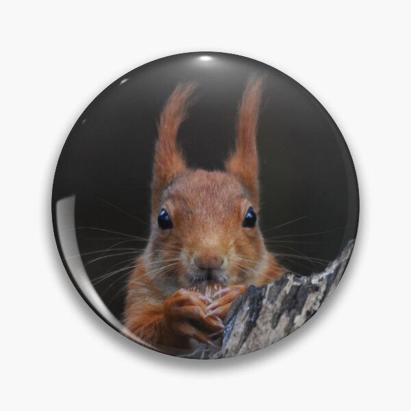 Item preview, Red Squirrel Peering Out From Dark Rocky Crevice designed and sold by Shanguai.