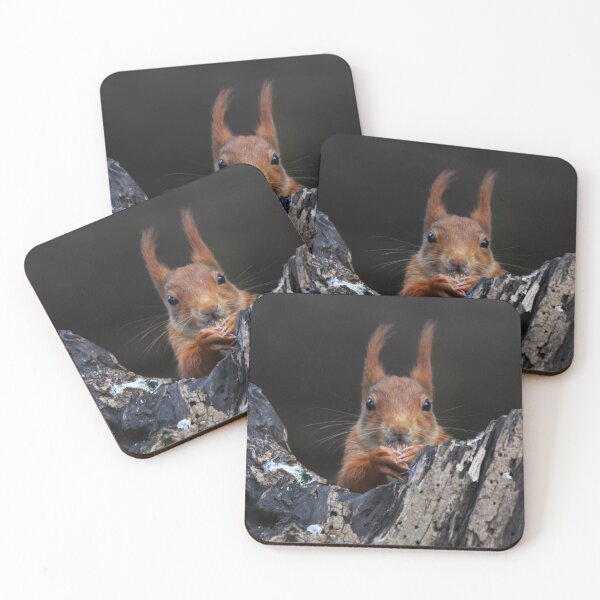 Item preview, Red Squirrel Peering Out From Dark Rocky Crevice designed and sold by Shanguai.