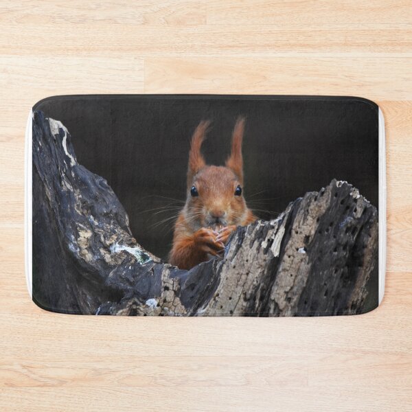 Item preview, Red Squirrel Peering Out From Dark Rocky Crevice designed and sold by Shanguai.