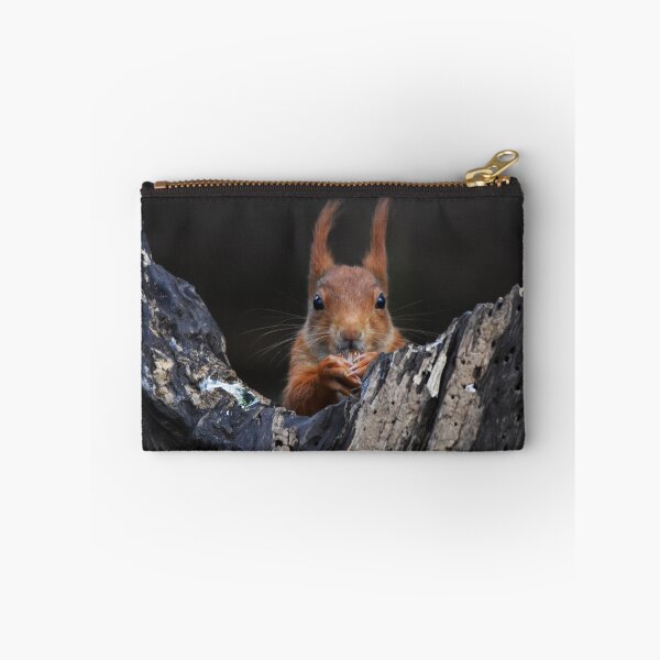 Item preview, Red Squirrel Peering Out From Dark Rocky Crevice designed and sold by Shanguai.