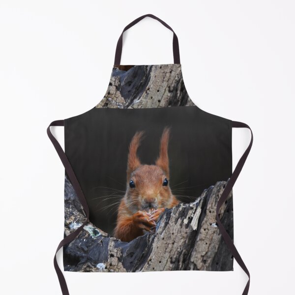 Item preview, Red Squirrel Peering Out From Dark Rocky Crevice designed and sold by Shanguai.