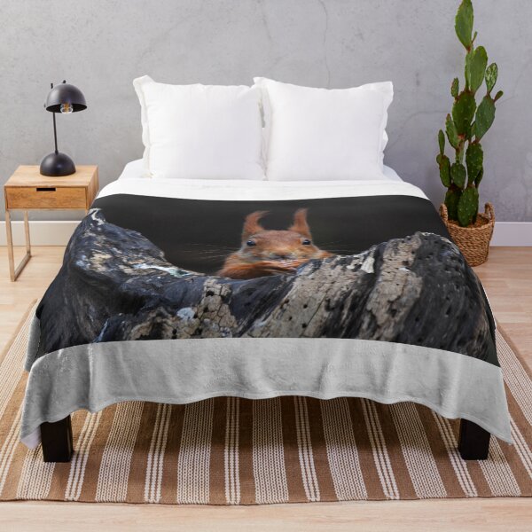 Item preview, Red Squirrel Peering Out From Dark Rocky Crevice designed and sold by Shanguai.