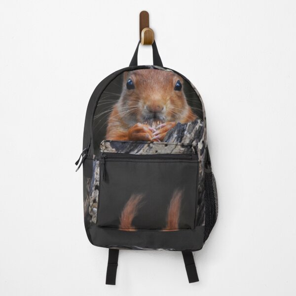 Item preview, Red Squirrel Peering Out From Dark Rocky Crevice designed and sold by Shanguai.