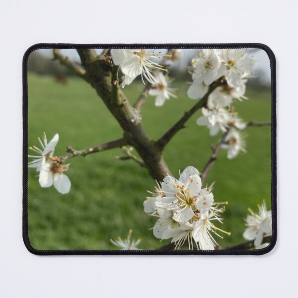 Item preview, Spring Blossom Close-Up on Tree Branch designed and sold by banana3397.