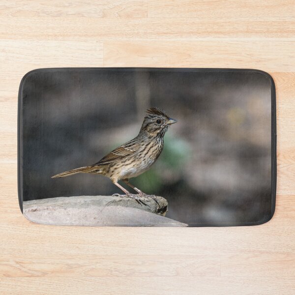 Item preview, Lincoln’s Sparrow at Bentsen Rio Grande State Park designed and sold by Debra Martz.